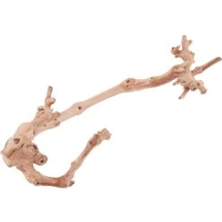 Exo Terra Forest Branch