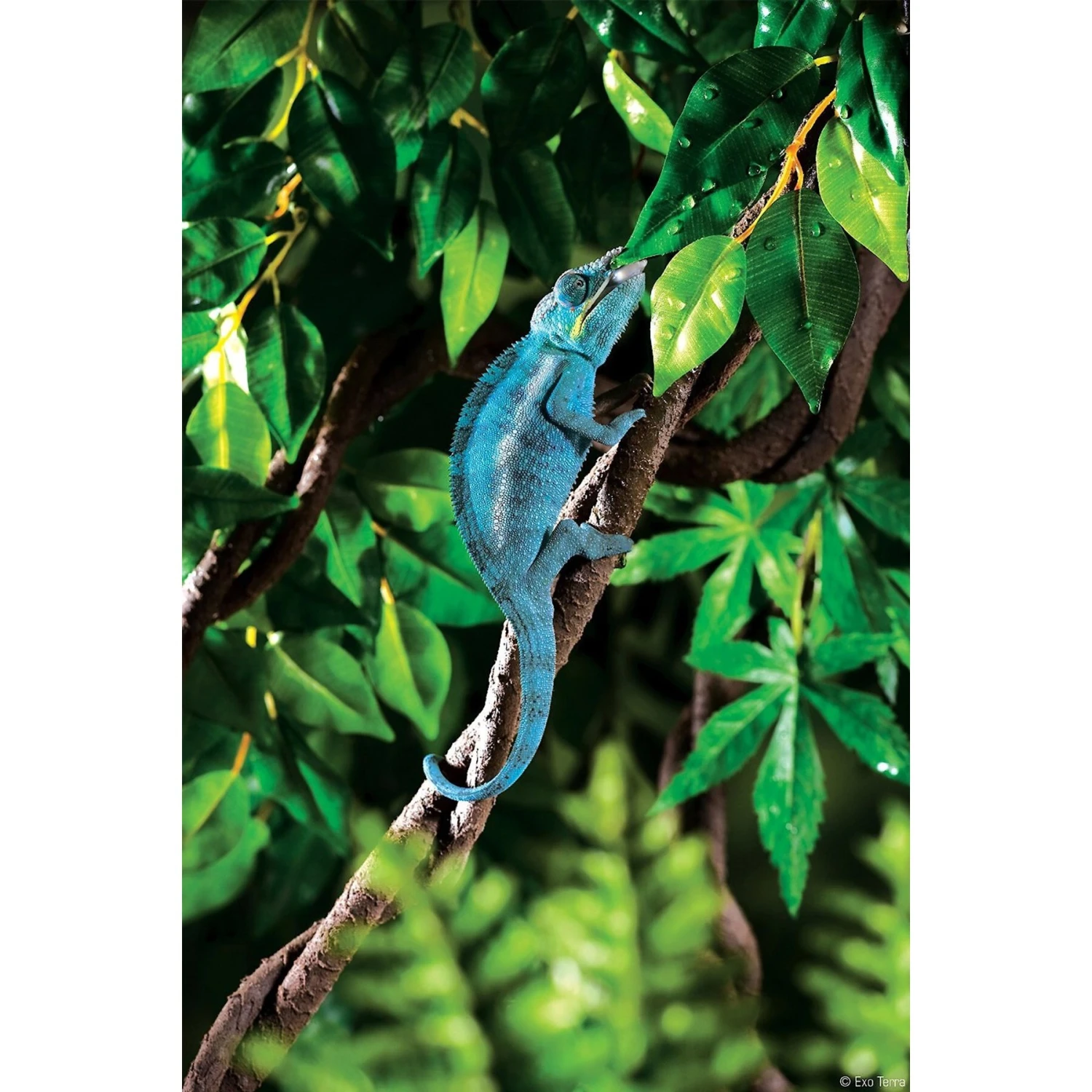 Exo Terra Jungle Vine For Reptiles & Amphibians - Image 2