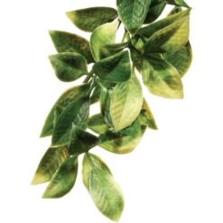 Exo Terra Mandarin Plastic Plant
