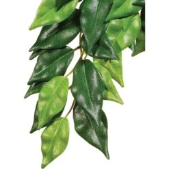 Exo Terra Ficus Silk Plant