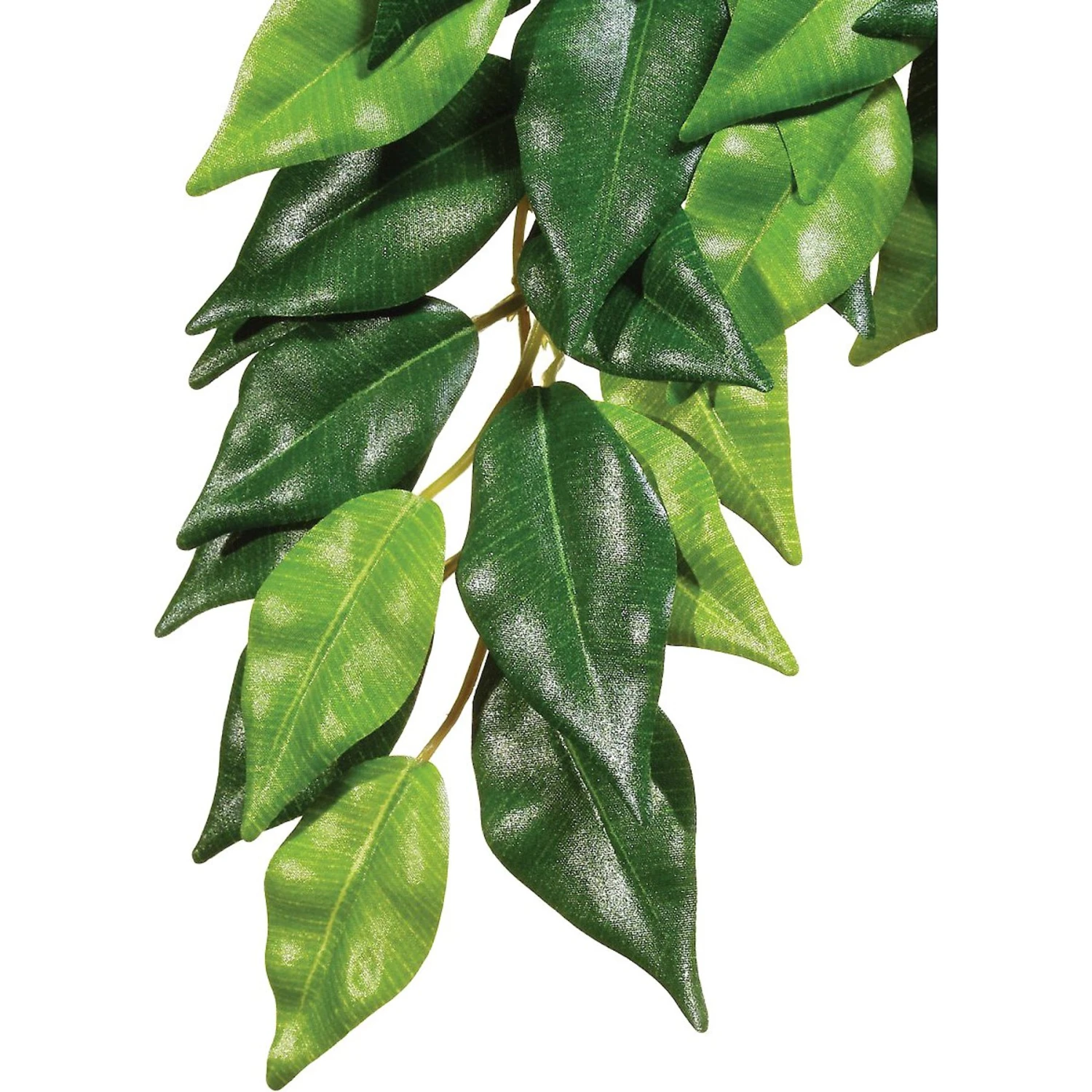 Exo Terra Ficus Silk Plant
