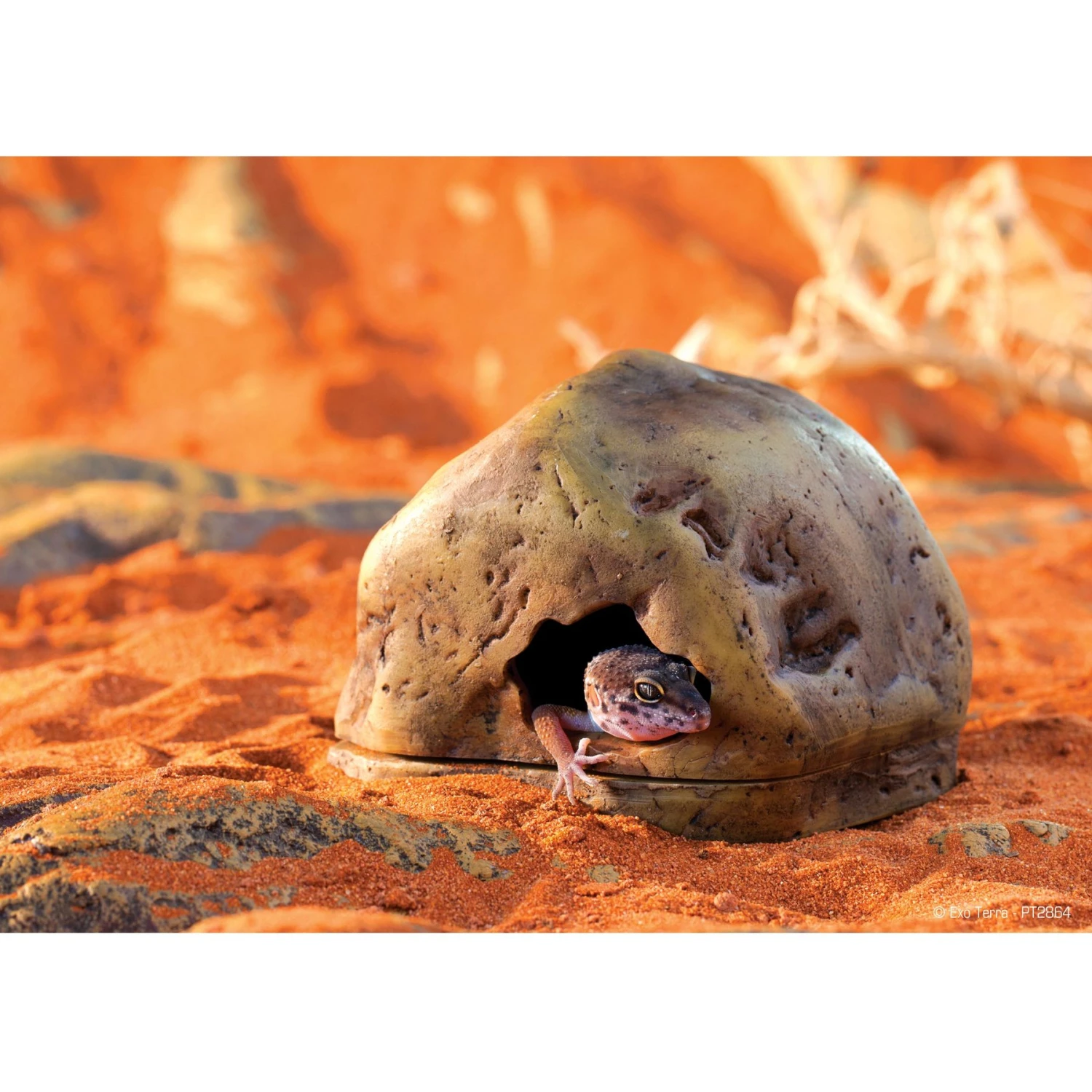 Exo Terra Gecko Cave For Reptiles