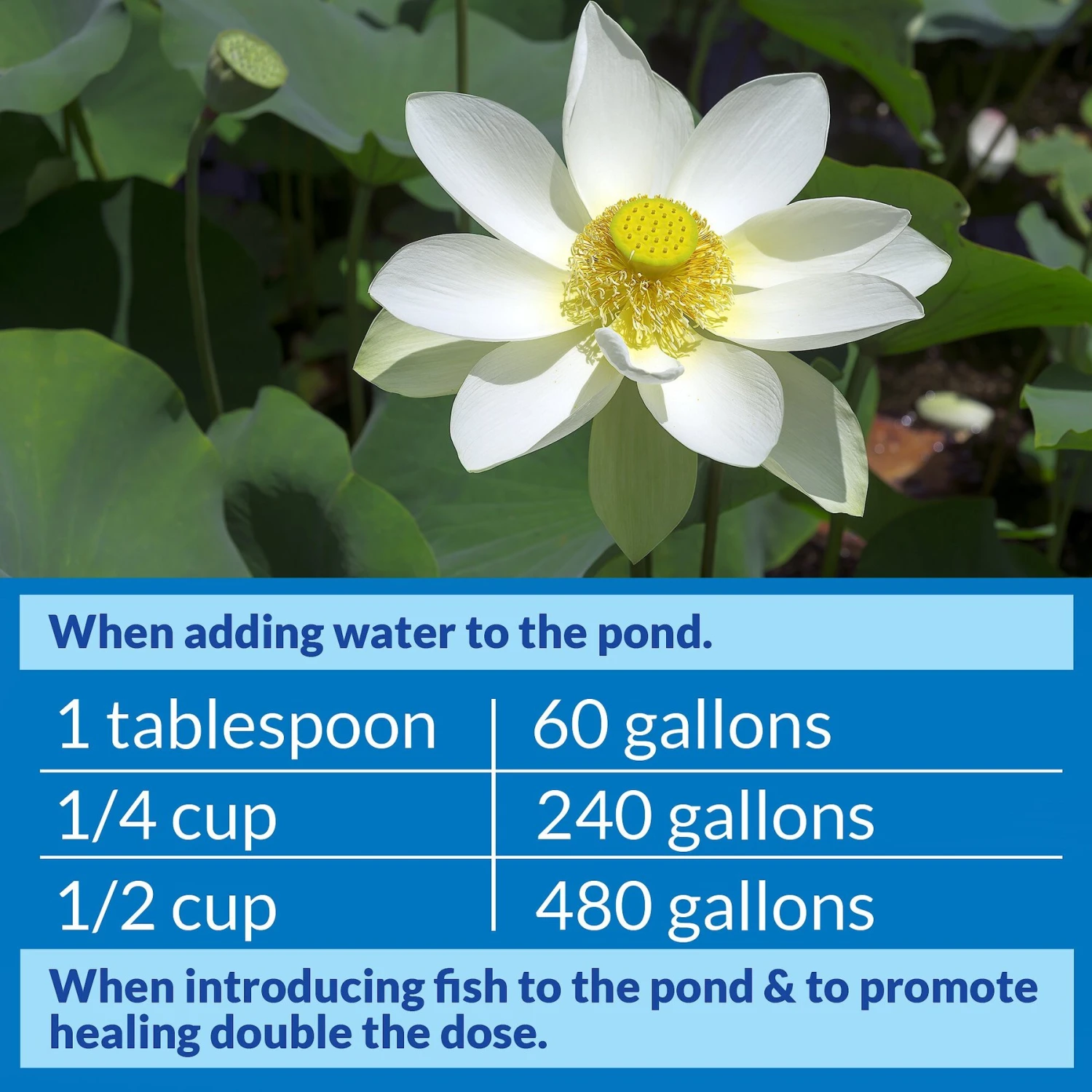 API Pond Stress Coat Water Conditioner - Image 3