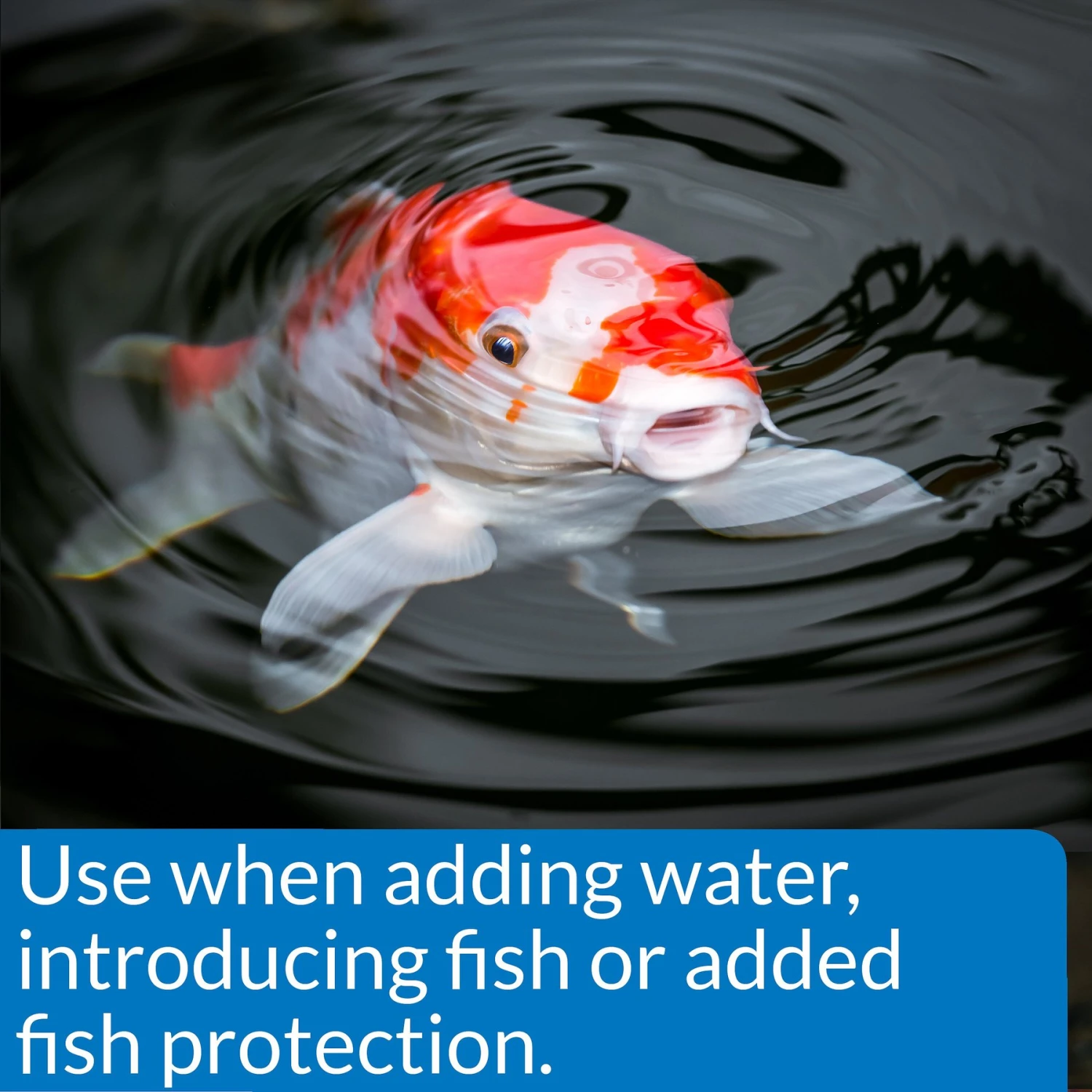 API Pond Stress Coat Water Conditioner - Image 4