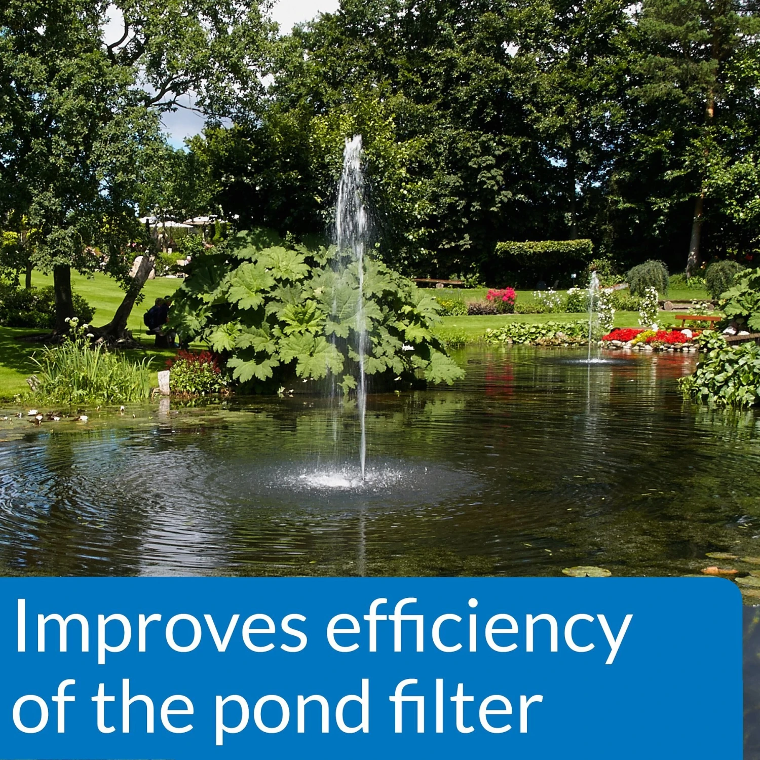 API Pond Accu-Clear Clarifier - Image 4