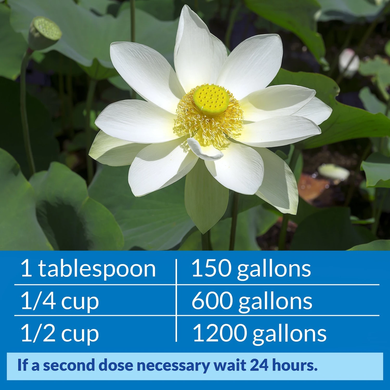 API Pond Accu-Clear Clarifier - Image 5