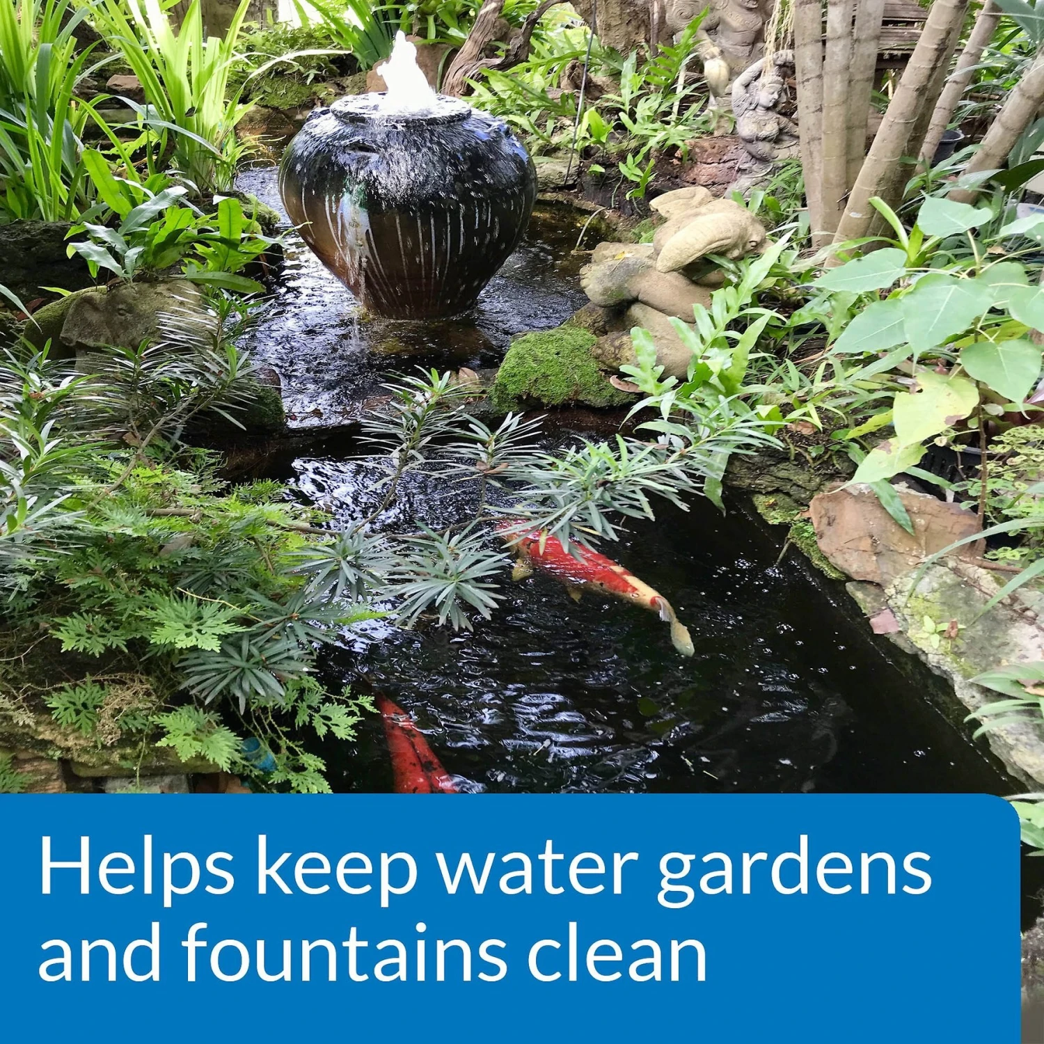 API Pond Algaefix Algae Control Solution - Image 5