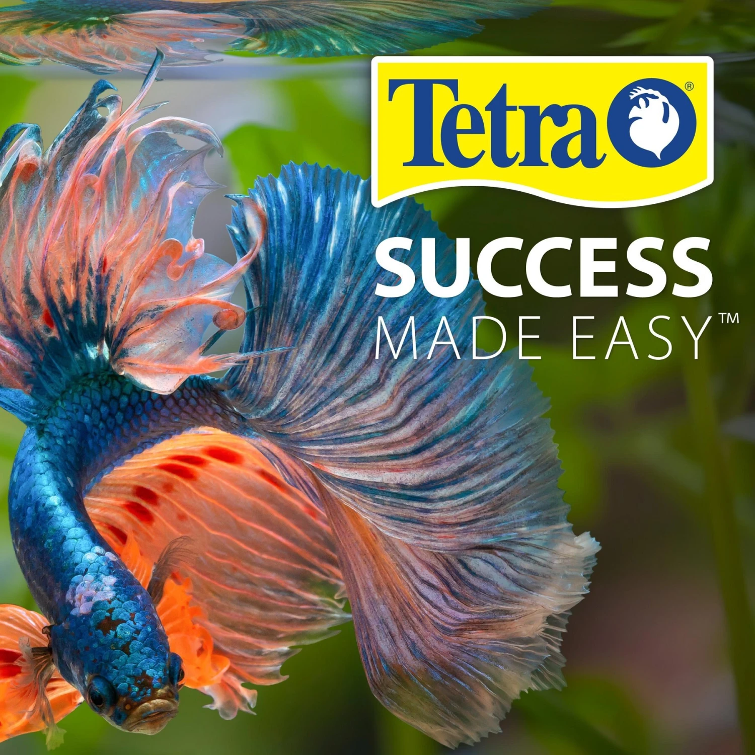 Tetra SafeStart Plus For Freshwater Aquariums - Image 7