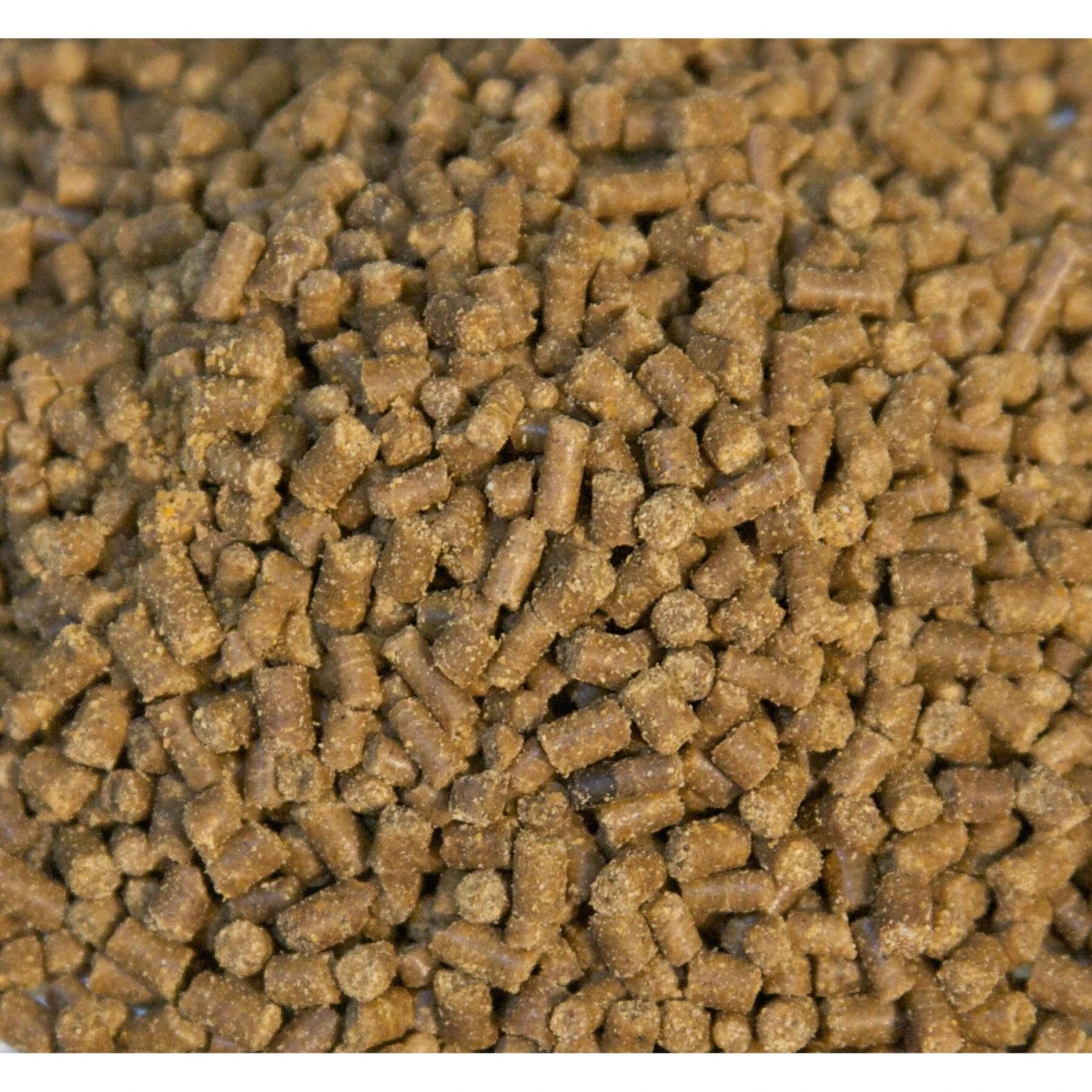 Zoo Med Hermit Crab Food - Image 2