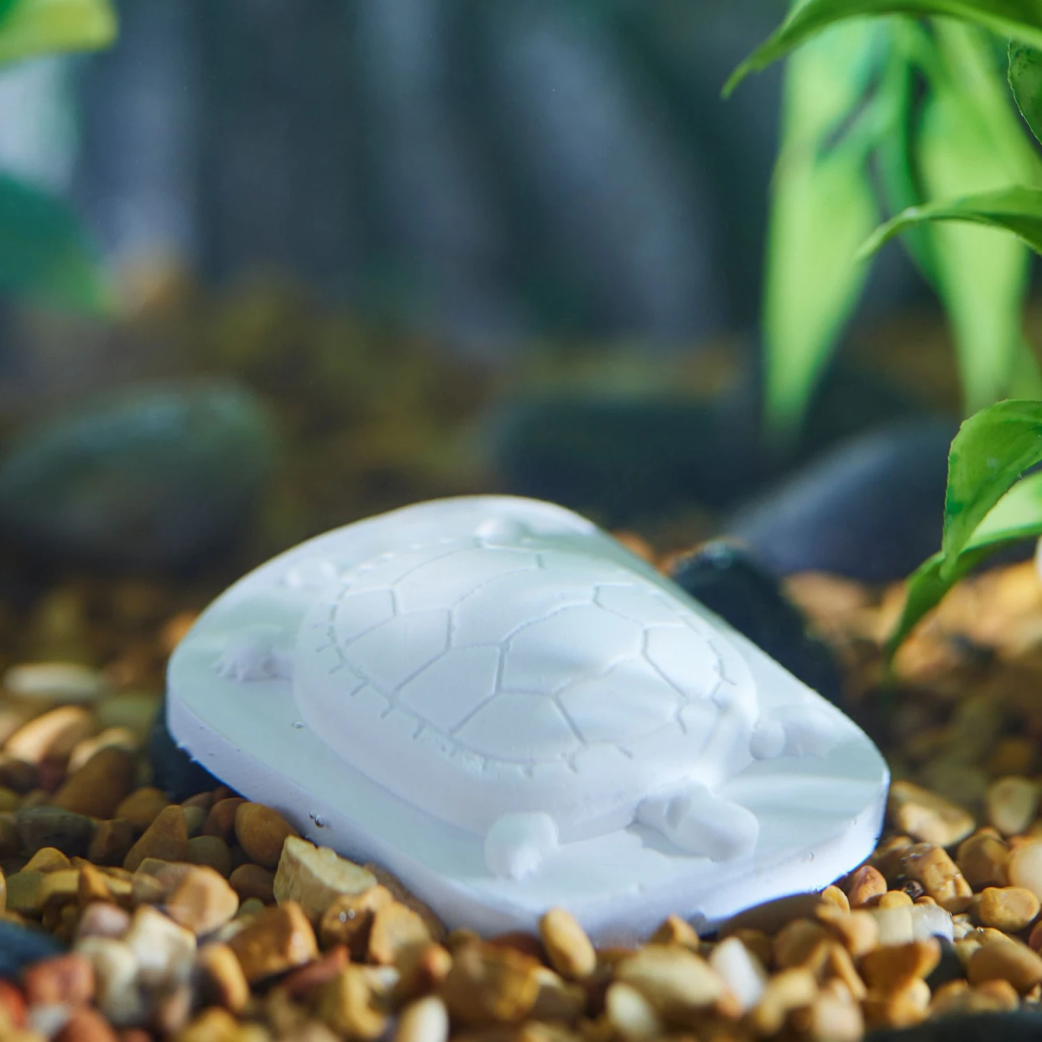 Zoo Med Dr. Turtle Slow-Release Calcium Block Turtle Supplement - Image 4