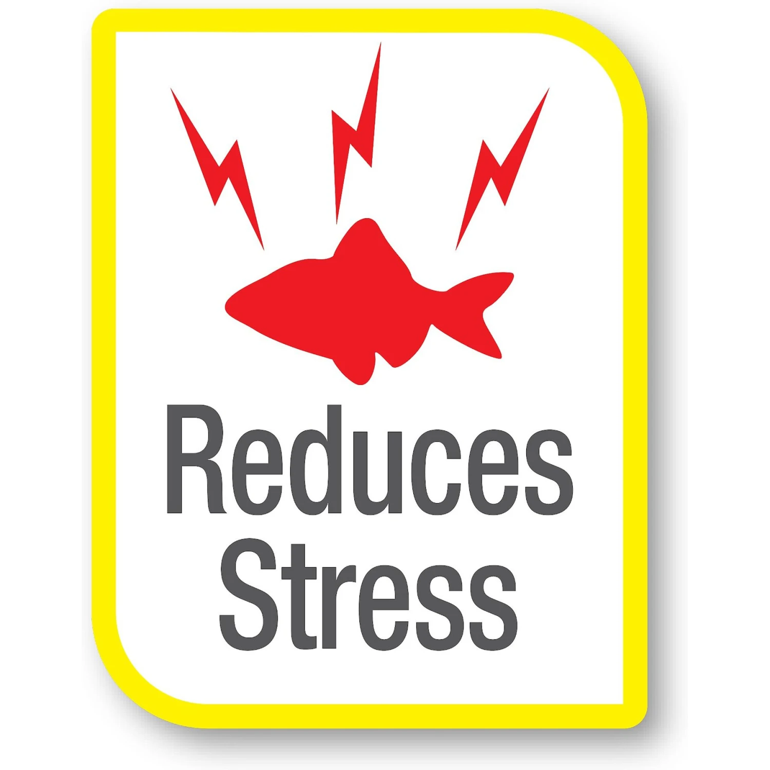 Tetra AquaSafe Freshwater & Marine Aquarium Water Conditioner & Dechlorinator - Image 4