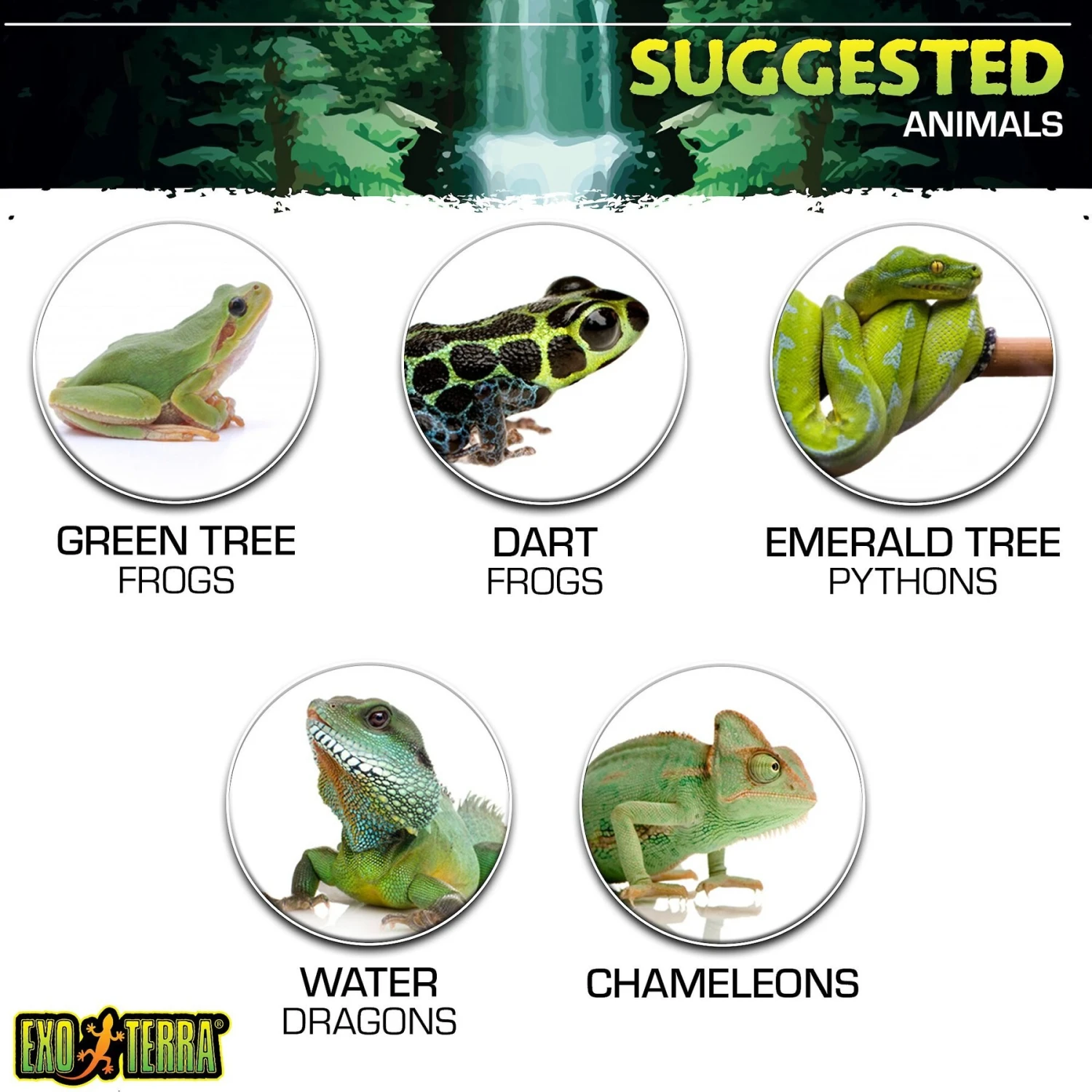 Exo Terra Mini Mister Spray Bottle - Image 5