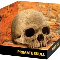 Exo Terra Primate Skull Terrarium Hiding Place