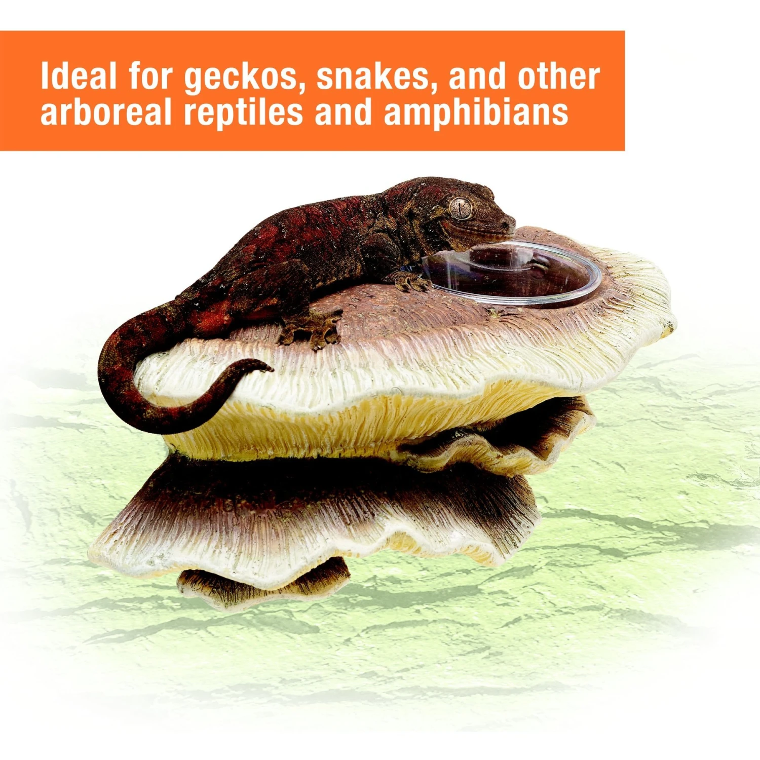 Zilla Vertical Decor Mushroom Feeding Ledge - Image 4