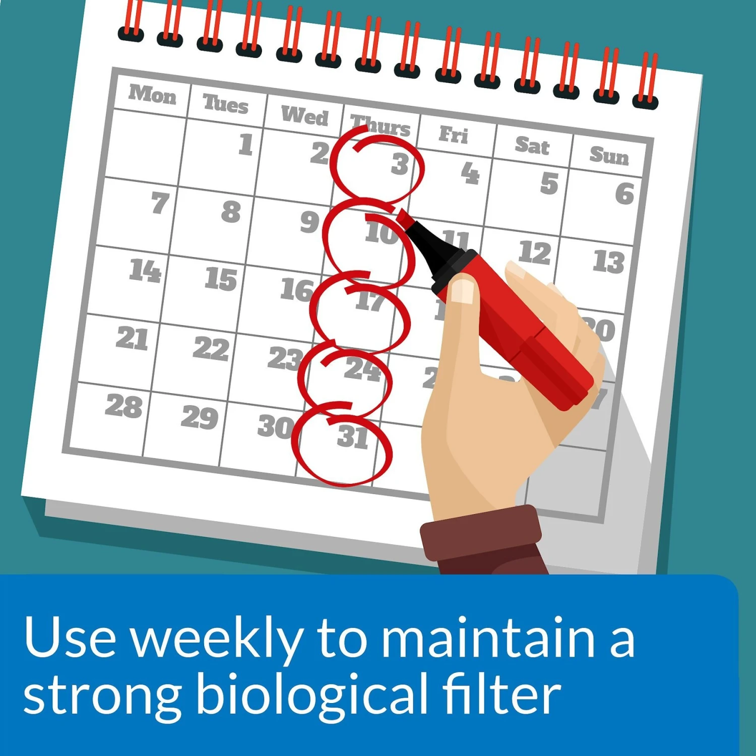 API Stress Zyme Freshwater & Saltwater Aquarium Cleaning Solution - Image 2