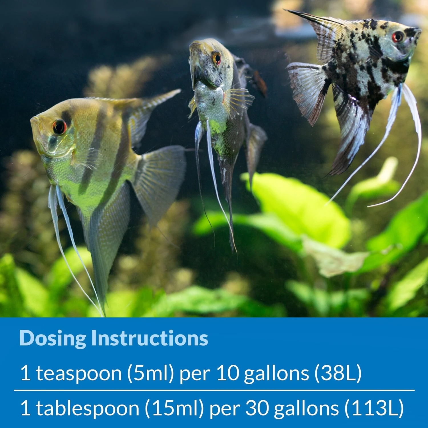 API Stress Zyme Freshwater & Saltwater Aquarium Cleaning Solution - Image 5