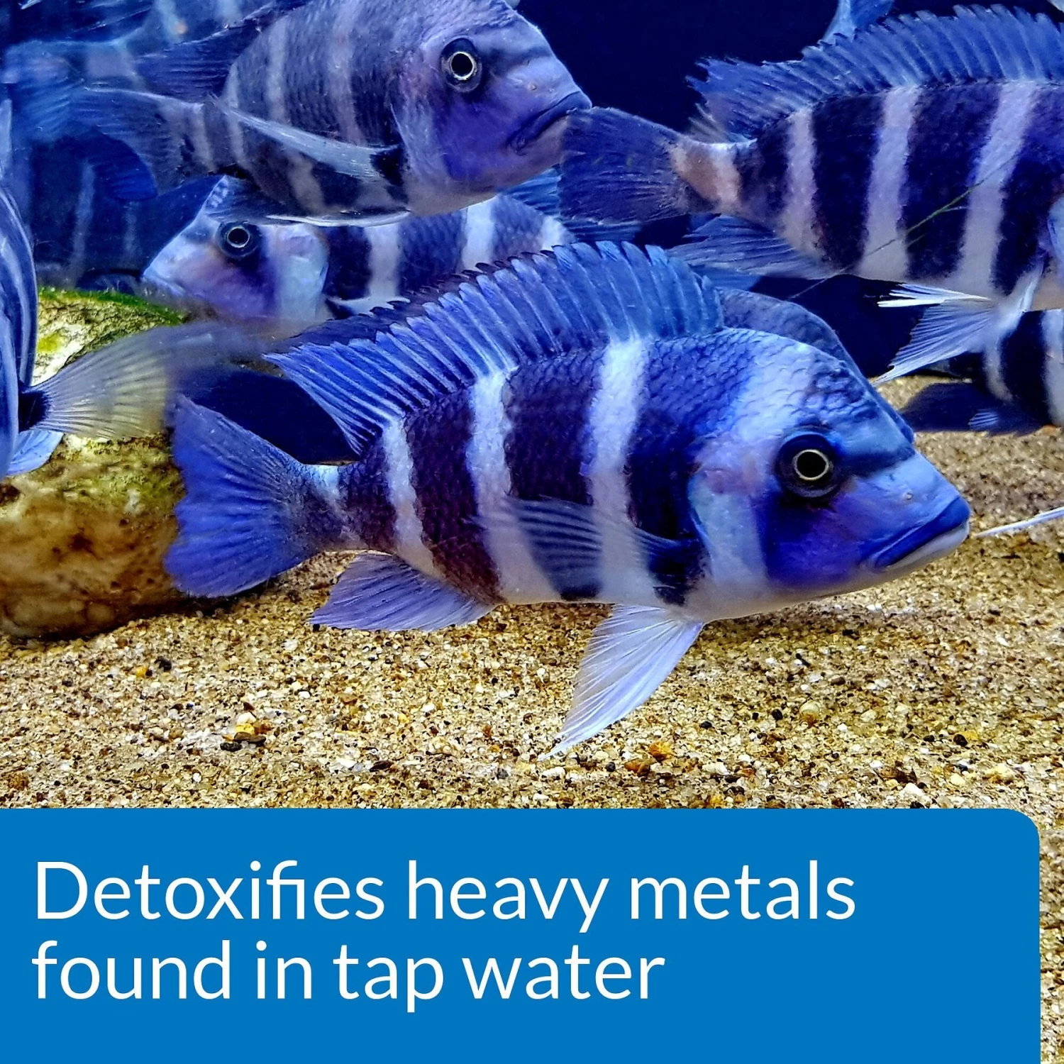 API Tap Water Conditioner Aquarium Water Conditioner - Image 3