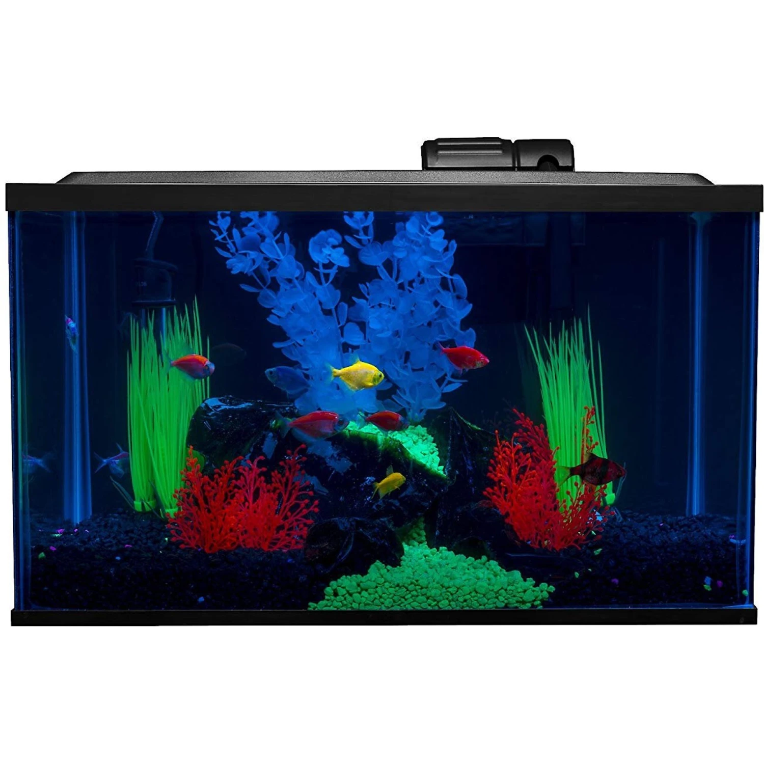 GloFish Aquarium Kit