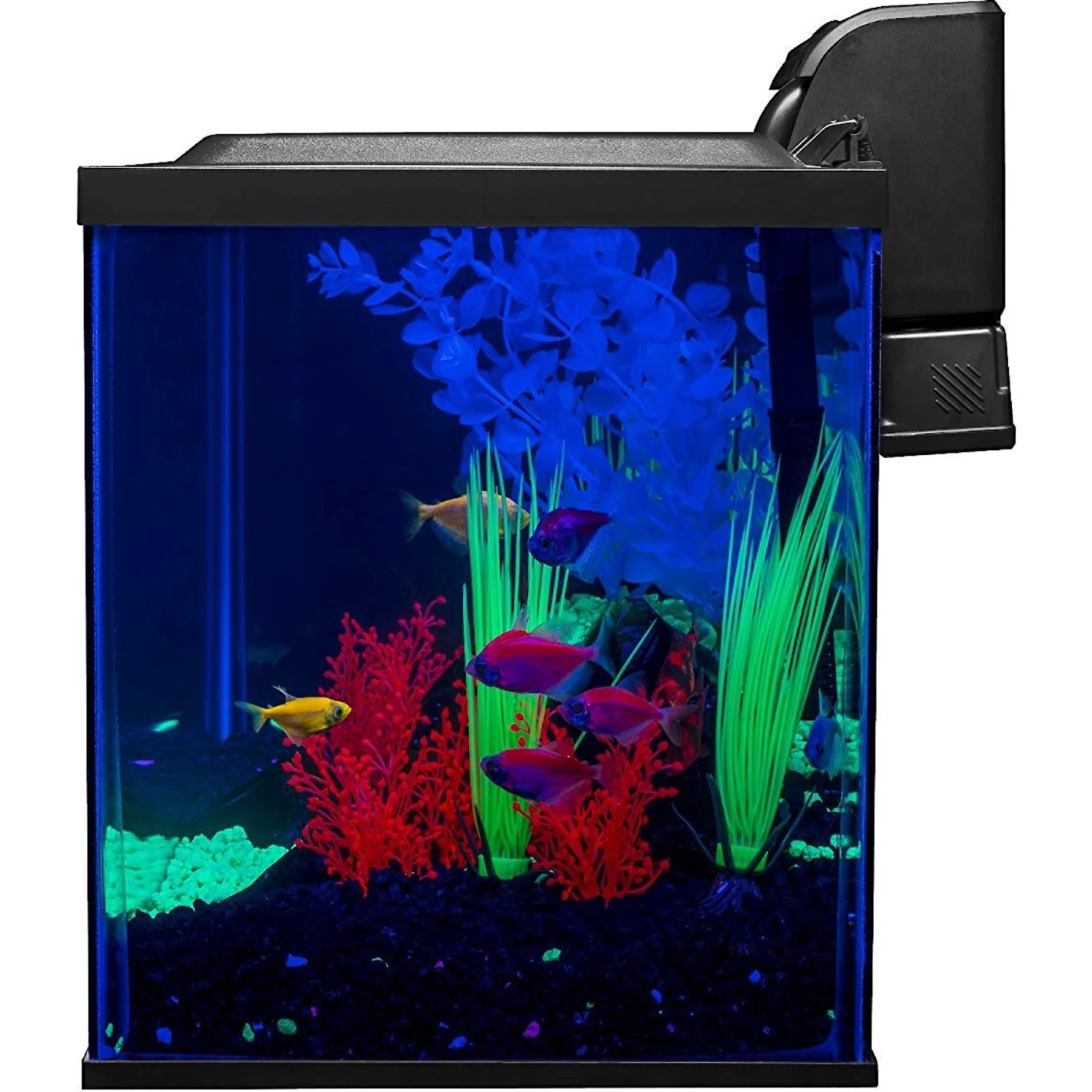GloFish Aquarium Kit - Image 2