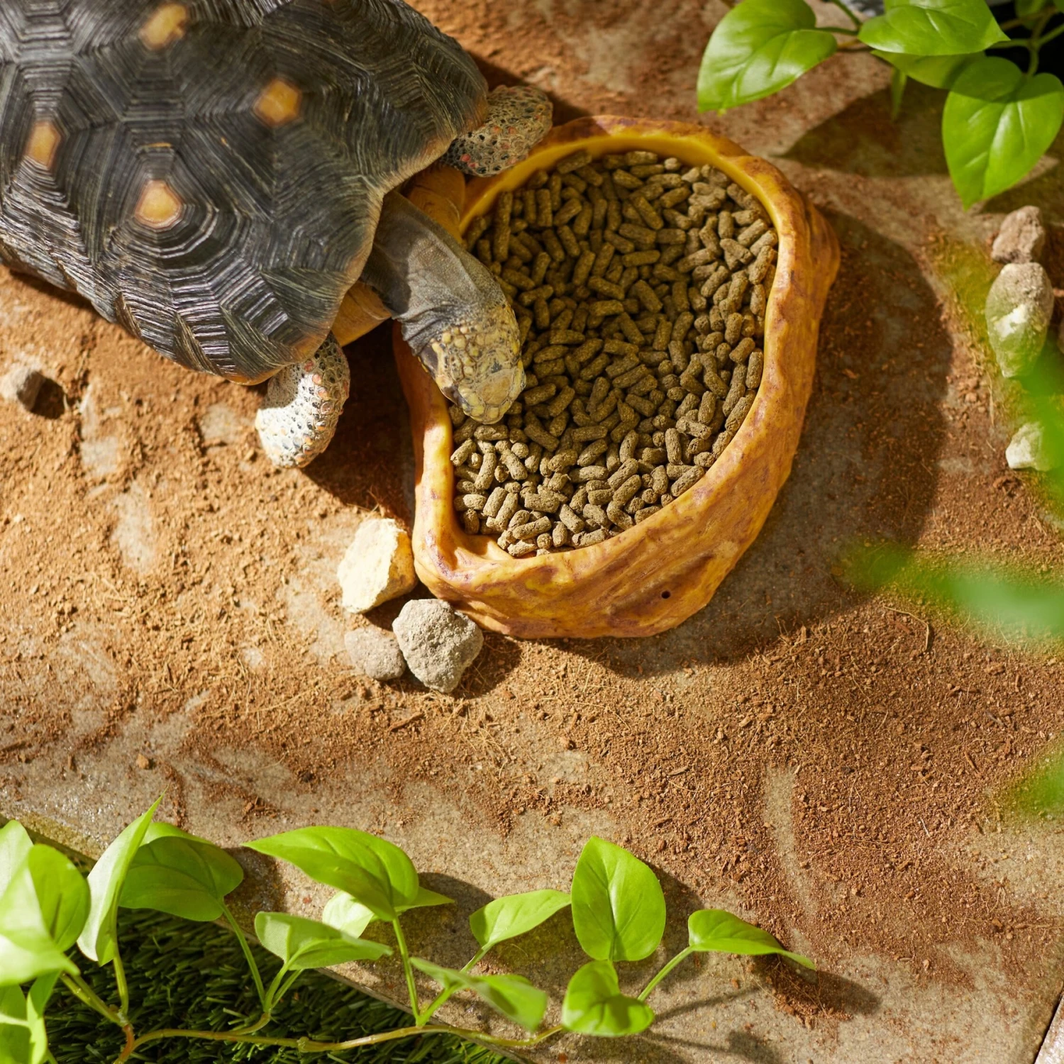 Mazuri Tortoise LS Low Starch Food - Image 2