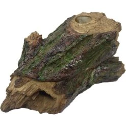 Komodo Forest Hiding Den