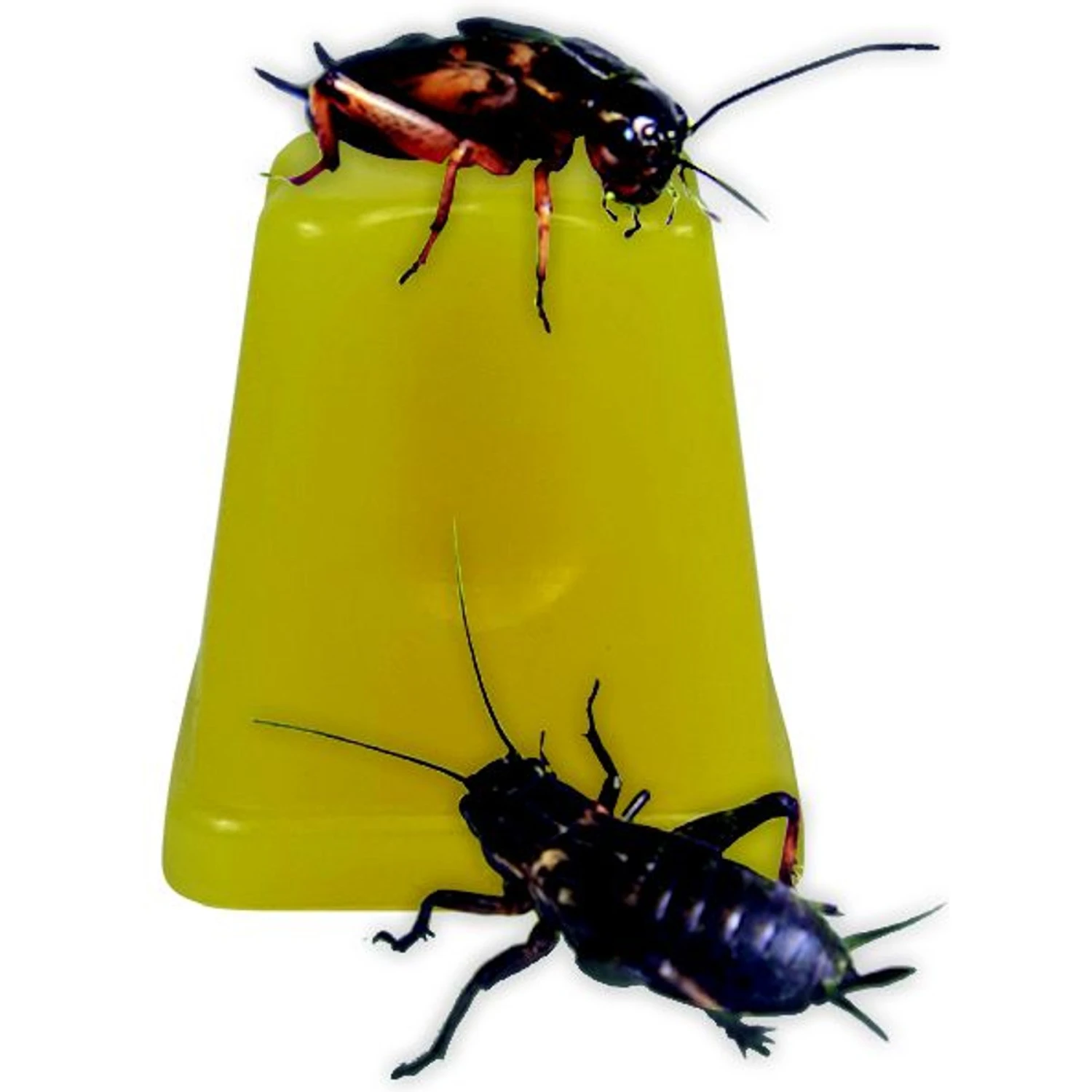 Komodo Jelly Pots Reptile Food - Image 4