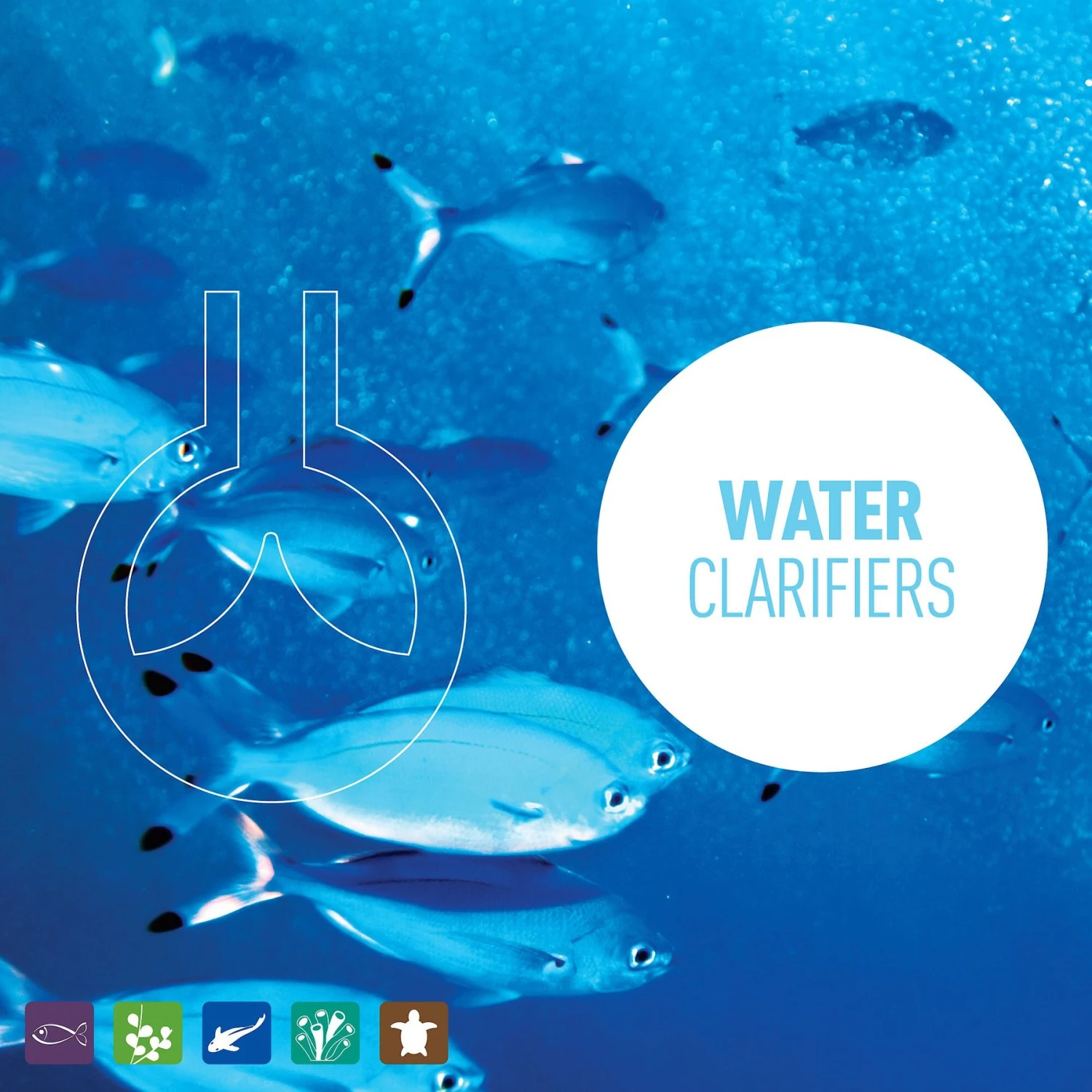 Reeflowers Aqua Clarify Aquarium Water Clarifier & Purifier - Image 5