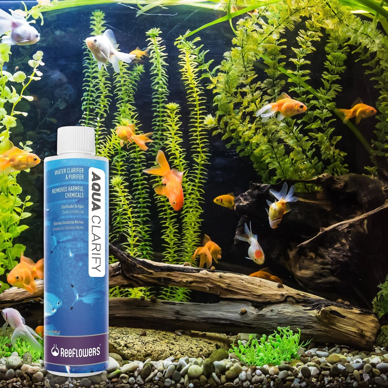 Reeflowers Aqua Clarify Aquarium Water Clarifier & Purifier - Image 7