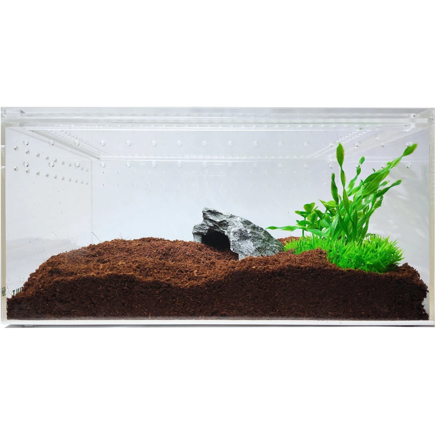 HerpCult Acrylic Insect & Reptile Terrarium