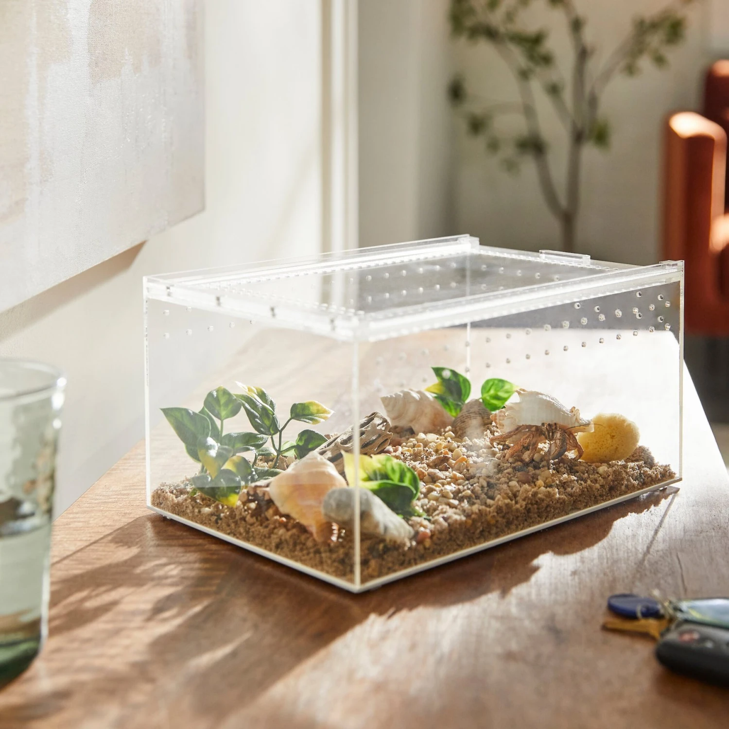 HerpCult Acrylic Insect & Reptile Terrarium - Image 2