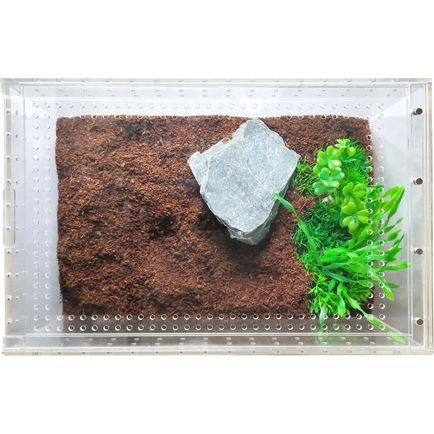 HerpCult Acrylic Insect & Reptile Terrarium - Image 4