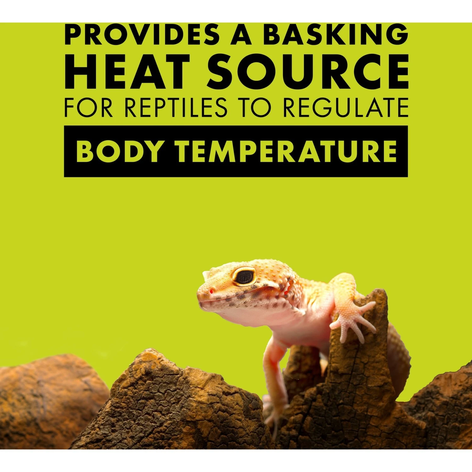 Zilla Day White Incandescent Reptile Terrarium Spot Lamp - Image 2