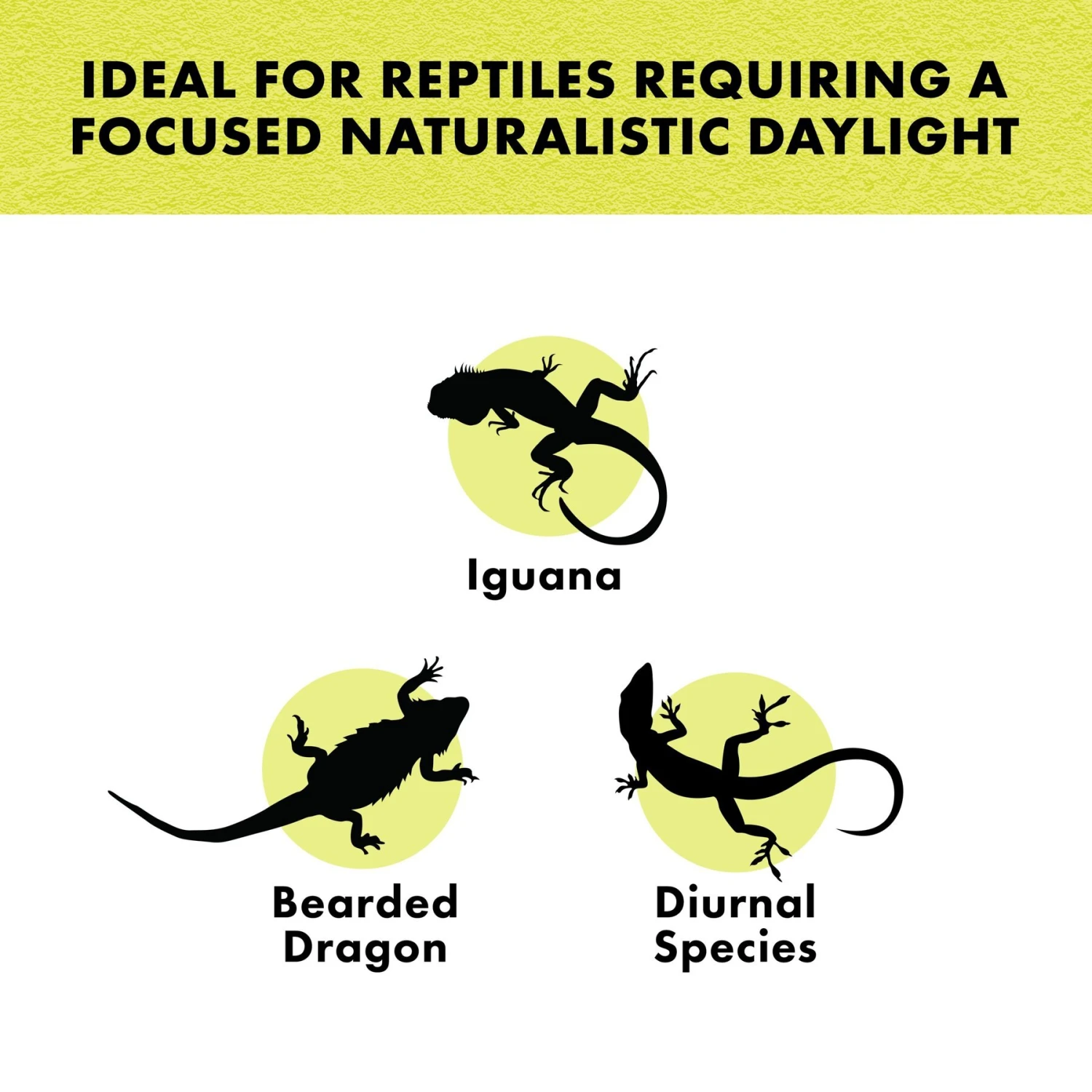 Zilla Day White Incandescent Reptile Terrarium Spot Lamp - Image 3