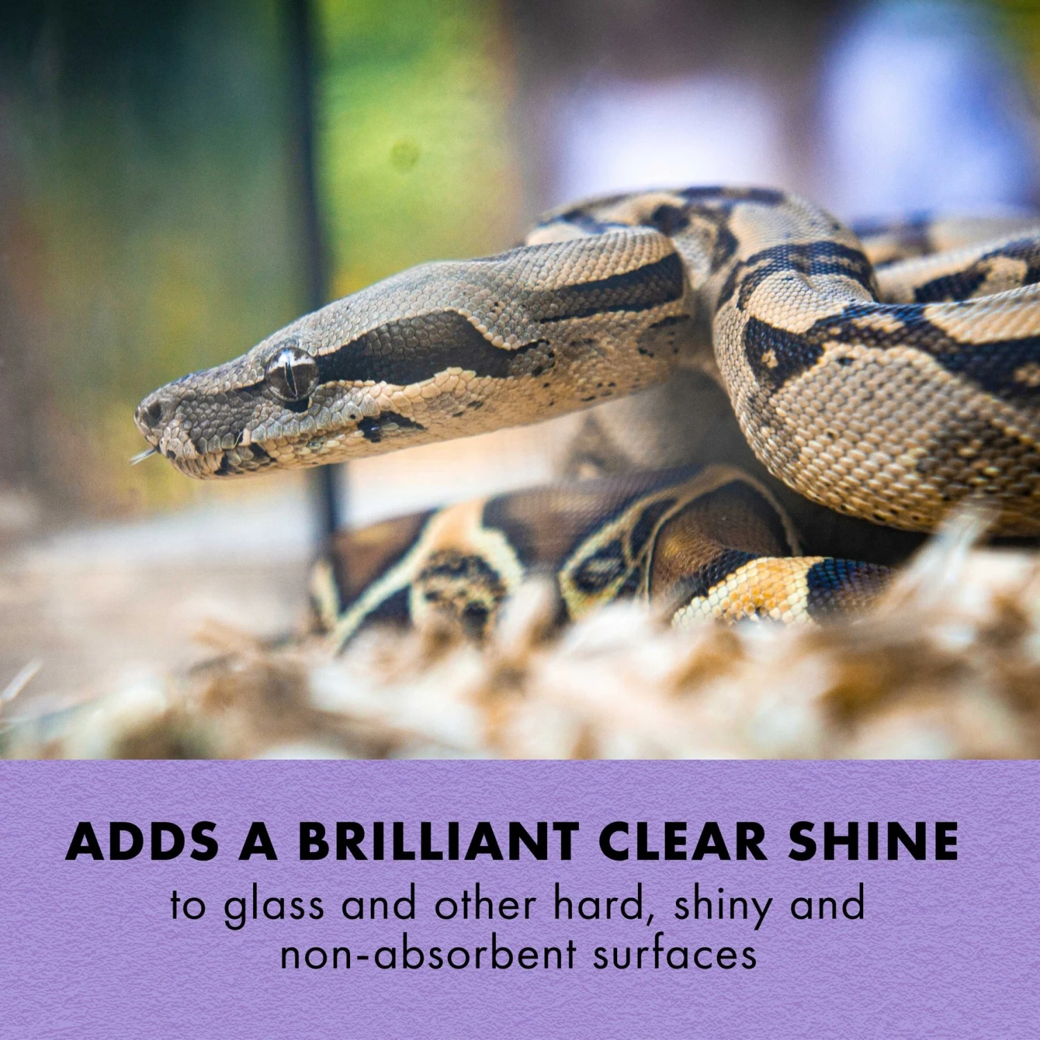 Zilla Reptile Terrarium Cleaner, 8-oz Bottle - Image 2