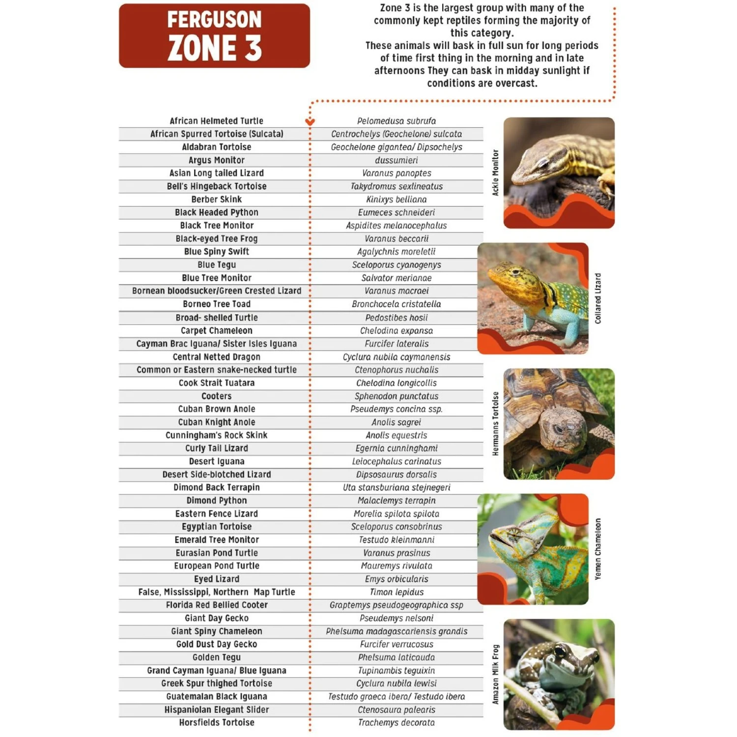 Reptile Systems T5 Ferguson Zone 3 12% Desert Reptile Lamp - Image 7