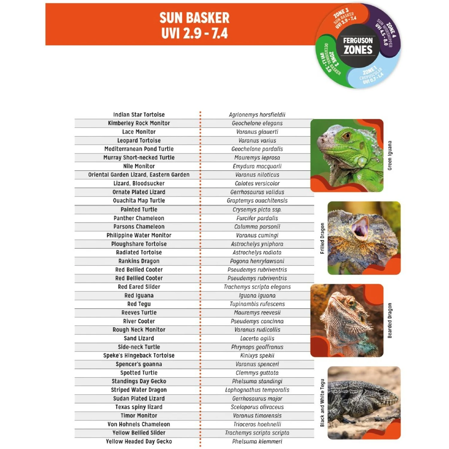 Reptile Systems T5 Ferguson Zone 3 12% Desert Reptile Lamp - Image 8