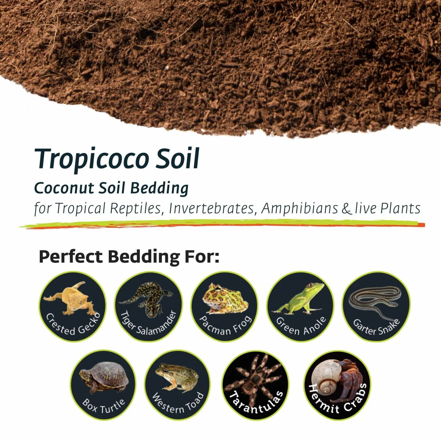 Galapagos Tropicoco Coconut Soil Tropical Reptile & Amphibian Bedding, 8-qt Brick - Image 6