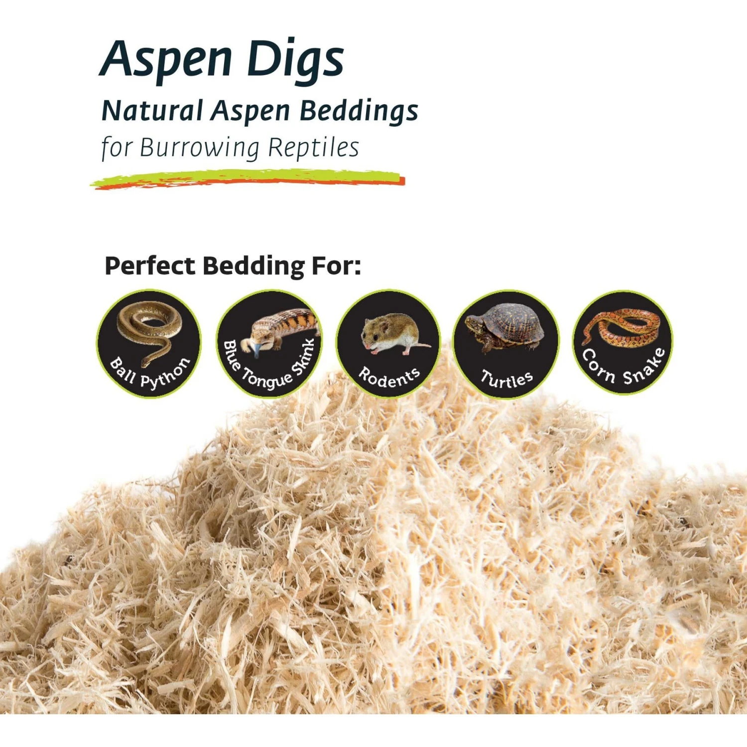 Galapagos Aspen Digs Natural Aspen Reptile Terrarium Bedding, 8-qt Bag - Image 5