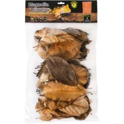 Galapagos Magnolia Terrarium Leaves, 4-qt Bag
