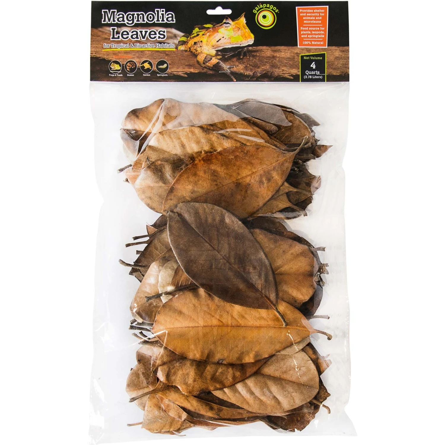 Galapagos Magnolia Terrarium Leaves, 4-qt Bag