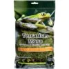 Galapagos Pillow Moss Reptile & Amphibian Terrarium Moss, Fresh Green