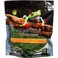 Galapagos MossVine Terrarium Ornament, Fresh Green