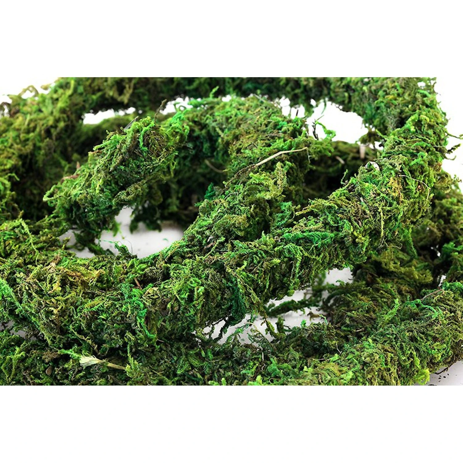 Galapagos MossVine Terrarium Ornament, Fresh Green - Image 3