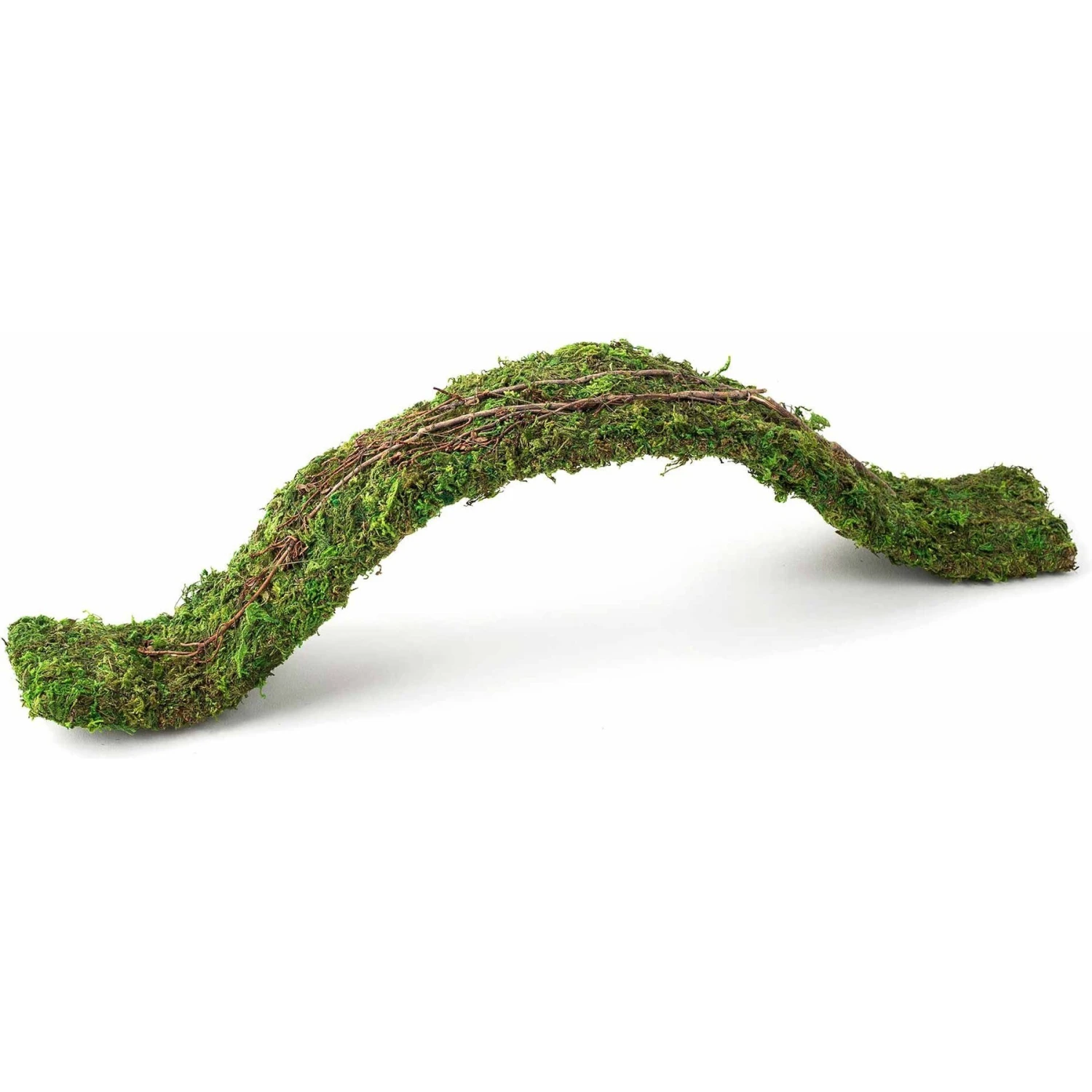 Galapagos Flexible Bridge Terrarium Ornament, Fresh Green