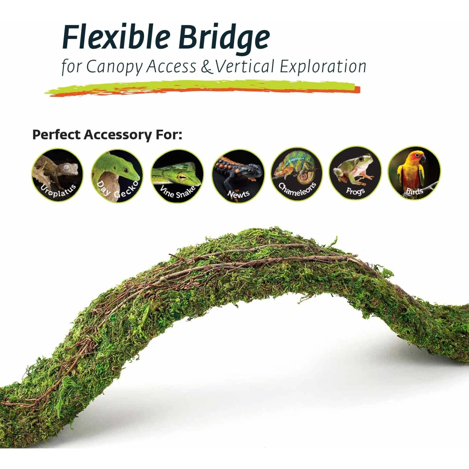 Galapagos Flexible Bridge Terrarium Ornament, Fresh Green - Image 4