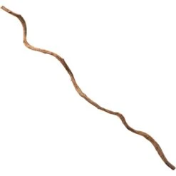 Galapagos Jungle Wood Terrarium Accessory