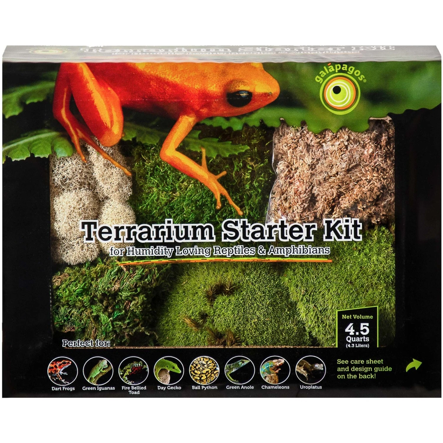 Galapagos Terrarium Starter Kit - Image 2
