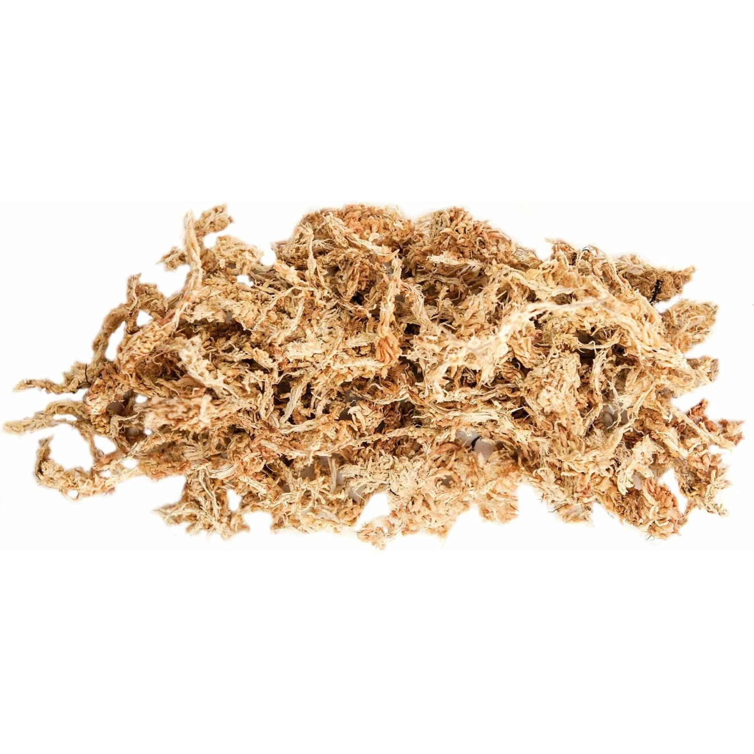 Galapagos Terrarium Starter Kit - Image 5