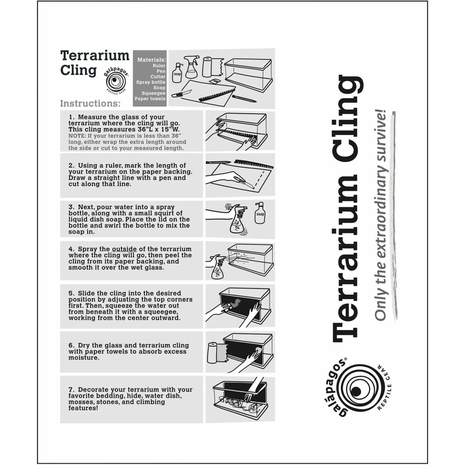 Galapagos Terrarium Background - Image 5