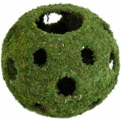 Galapagos Mossy Cave Reptile & Amphibian Terrarium Accessory, Fresh Green